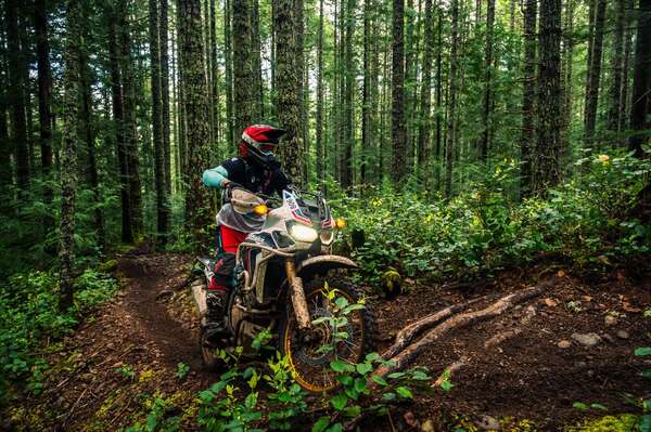 Legends Of Moto Race