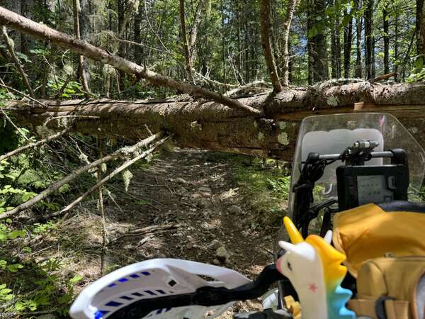 Vedder singletrack