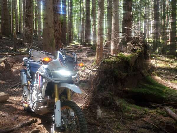 Ripping Cook Creek