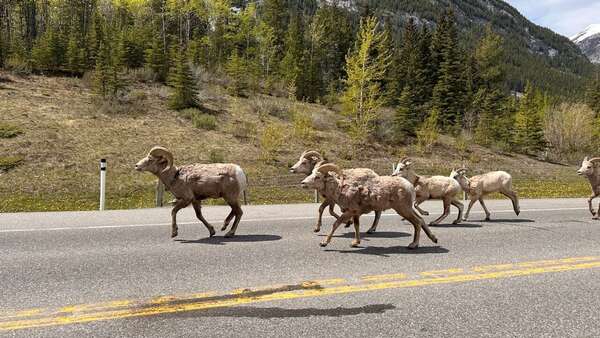 Kananaskis To Canmore Via Spray Lakes