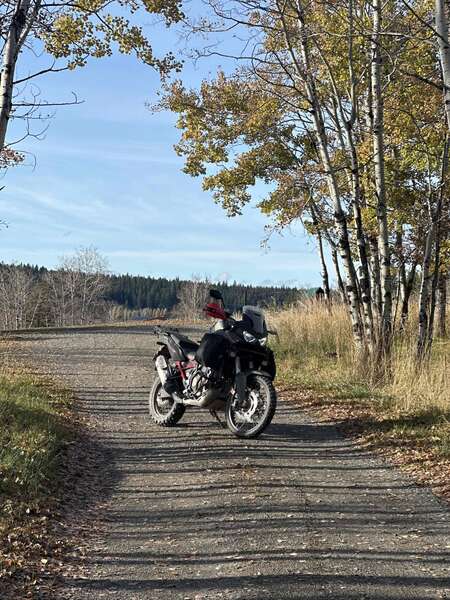 2020 Honda Crf1100l