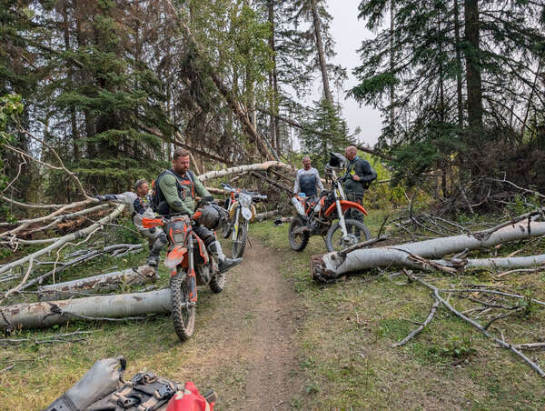 Loose Screw B-loop 2025