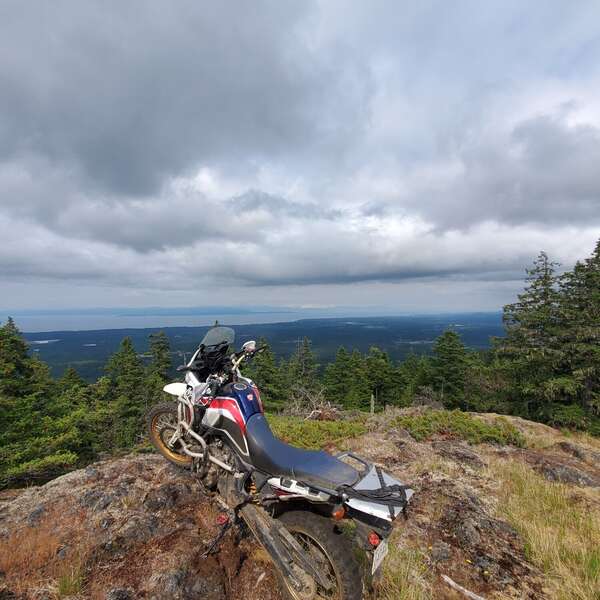 Finding New Trails