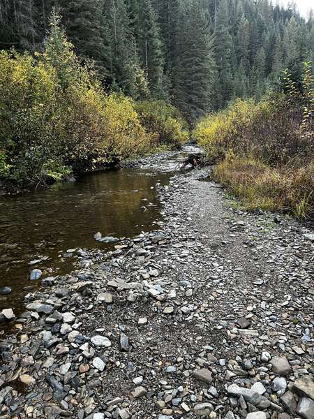 Fall Colors of the Idaho BDR 2023 Ep 2