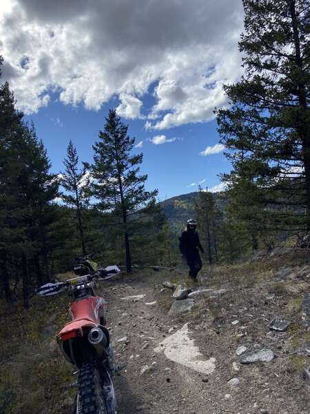 Another bear creek loop