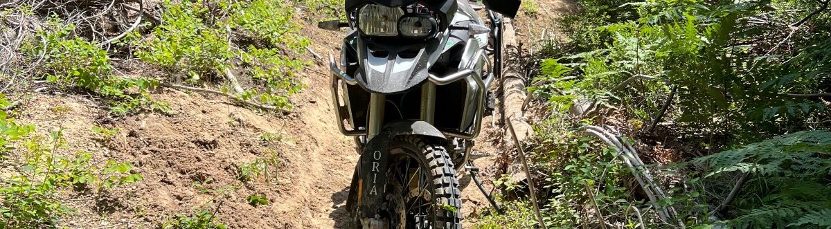 2017 BMW F800 GS