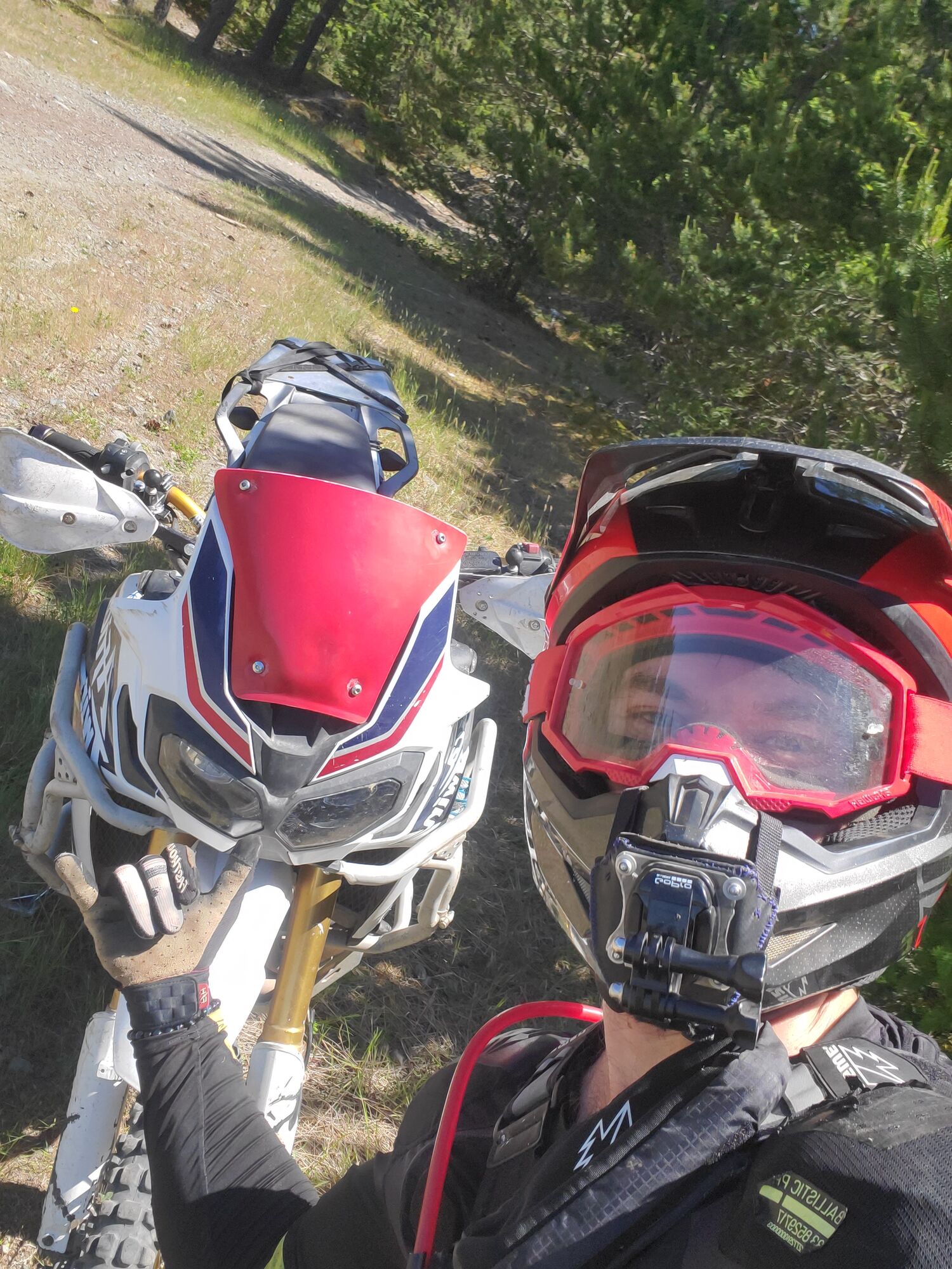 New Windshield Who Dis?