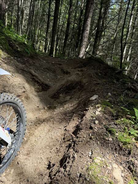 Vedder singletrack