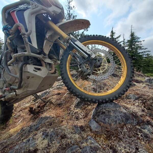 Finding New Trails