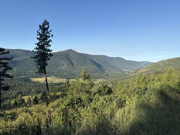 Lots of Salmon Arm R1