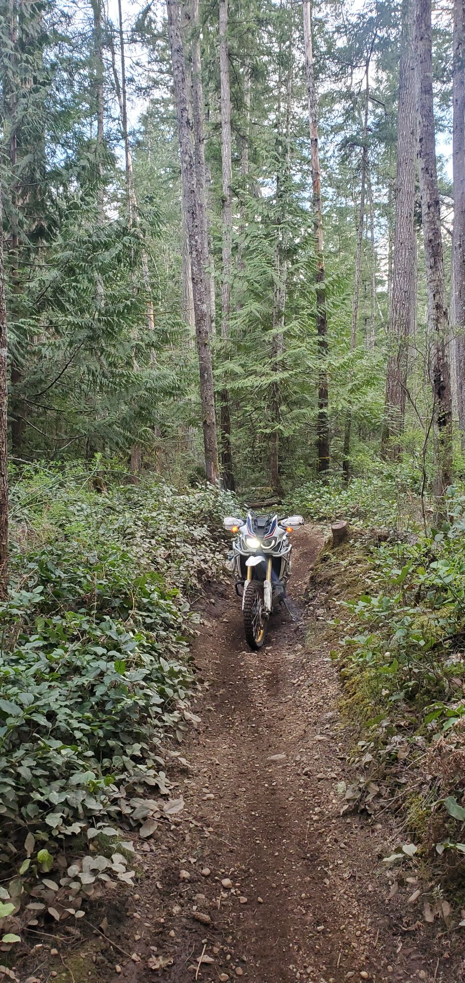 First Ride Baby!