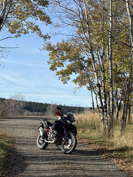 Spotify track around Williams Lake