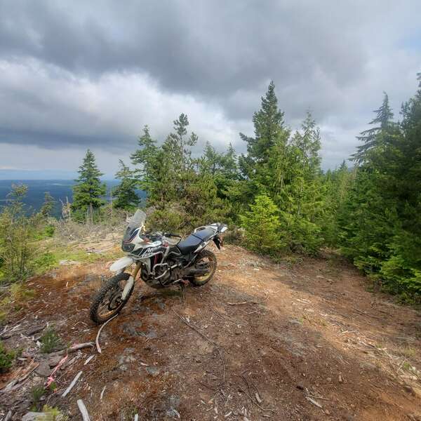 Finding New Trails