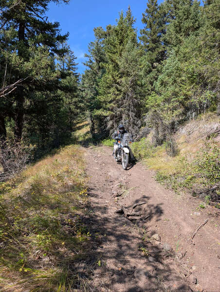 TABG 2025 - Day 2 -Morning