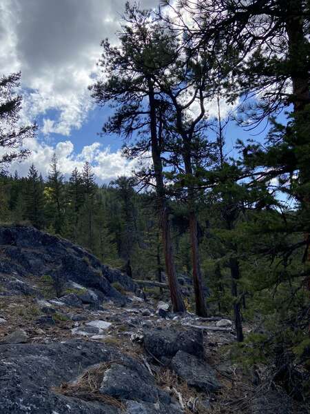 Another bear creek loop