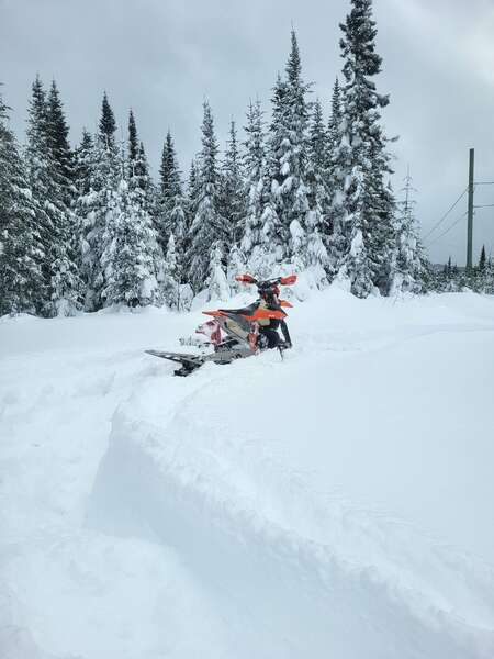 2019 Timbersled Raw 120