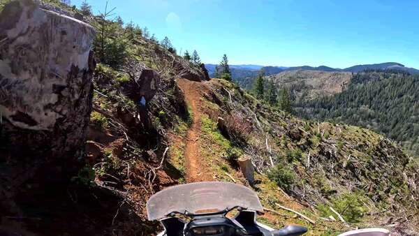 A good day in Tillamook