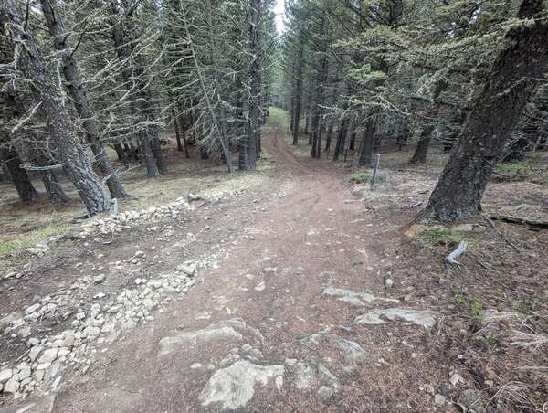 Porcupine Hills (avoiding the rain) Solo Ride