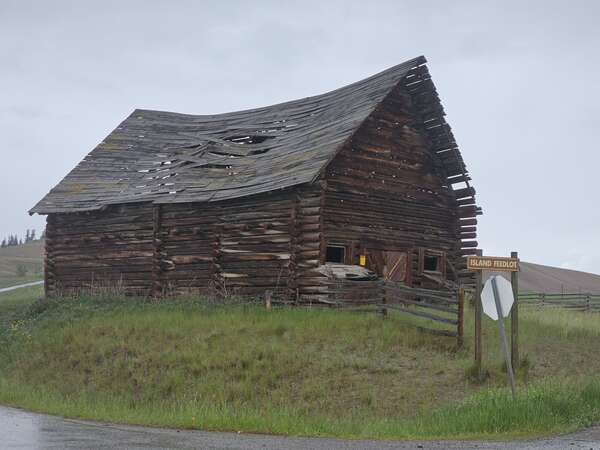 D1 - Douglas Lake Ranch Loop