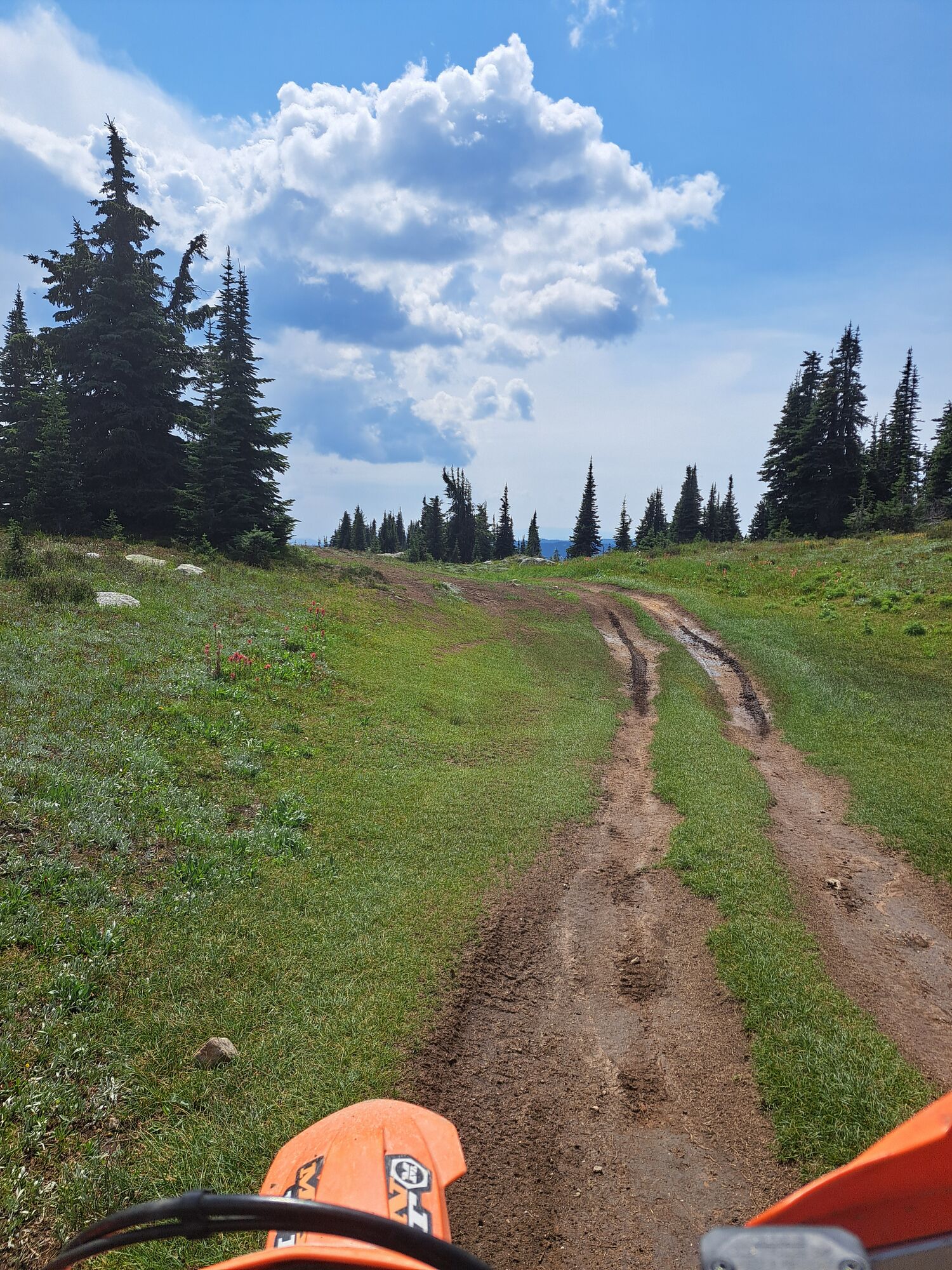 Biking with a view