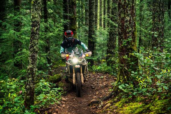 Legends Of Moto Race